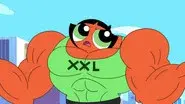 Musclecup still