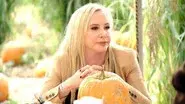 Pumpkins & Paparazzi still