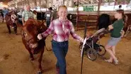 Once Upon a Fair still