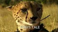 Toki's Tale still