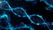 Left Behind, The Biodata Race, DNA For Sale still