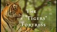 The Tigers' Fortress still