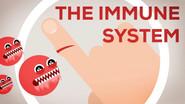The Immune System Explained I — Bacteria Infection still