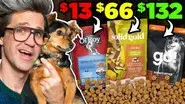 Is Expensive Dog Food Worth It? still