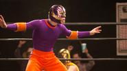The Luchador still