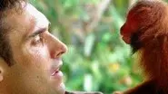 Uakari: Secrets Of The English Monkey still