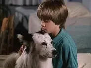 Man's Best Friend (2) still