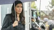 Vendetta still
