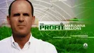Marijuana Millions still