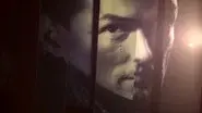 Falco still