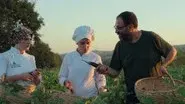 Musa Dağdeviren still