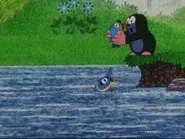 The Mole and the Little Fish still