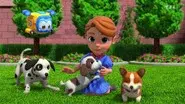 Royal Dog Training Class still