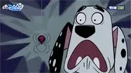 Power to the Puppies still