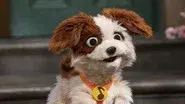 Doggie Job Search still