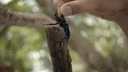 Size Matters still