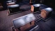 Seven Stars Coffin still