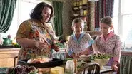 In Which We Meet the Larkin Family still