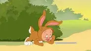 Fudds Bunny still