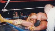 The Final Days of Owen Hart still