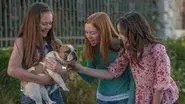 Just Add Dogs still