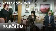 Episode 25 still