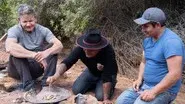 Mexico still