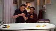 The One with the Chick and the Duck still