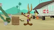 Beach Battle still