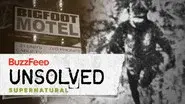 The Harrowing Hunt For Bigfoot still