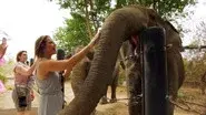 One Fight in Bangkok still