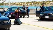 SEAL Hunter still