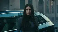 Pigeon still