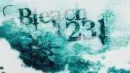 Byakuya, Disappearing with the Cherry Blossoms still