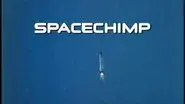 Spacechimp still