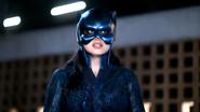 Wildcat still
