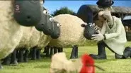Pig Swill Fly still