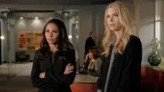 Pretty Little Lawyers still