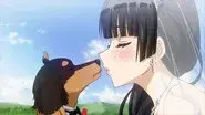 Dogs and Scissors Require Good Handling still
