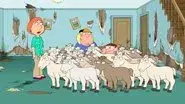 Nanny Goats still