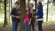 Flowers of Evil still