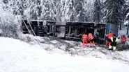 Wild Ride still