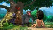 Missing Monkey still