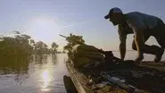No Easy Gator still