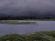 Voodoo Bayou still