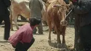 Episode 10 still