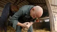 Kung Fu Biting still