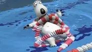 Swimming still