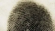 Forensics on Trial still