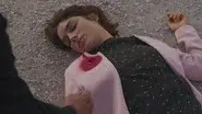 Pain of Love still